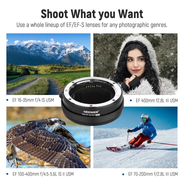 NEEWER EF to EOS R Mount Adapter