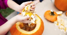 NATURAL FOODS Natural Foods 100% Organic Natural Pumpkin SEED 250G(Immunity Booster)