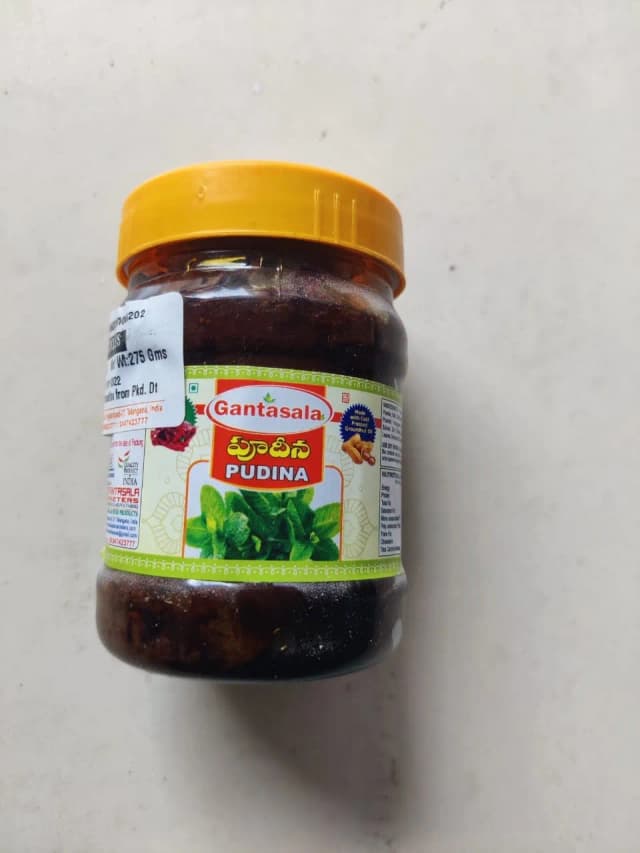 Natural Mint Leaves Thokku/pickle Pure Home Made / No Preservatives/No chemical added 100% Natural made 275 g