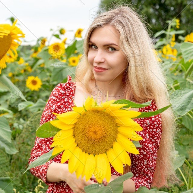 NATURAL FOODS Naturals foods Organic SunFlower OIL  500ML(COLD PRESSED)