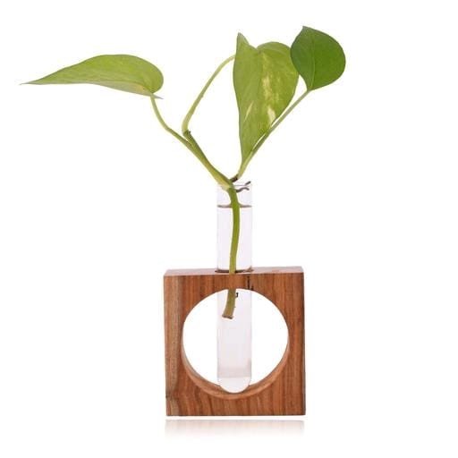 One Glass Test Tube With Wooden Stand Indoor Decorative Showpiece | Table Decor Plant Container Set  (Wood, Glass)
