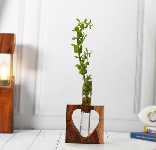 Attractive One Glass Test Tube With Wooden Stand Indoor Decorative Showpiece | Table Decor Plant Container Set  (Wood, Glass)