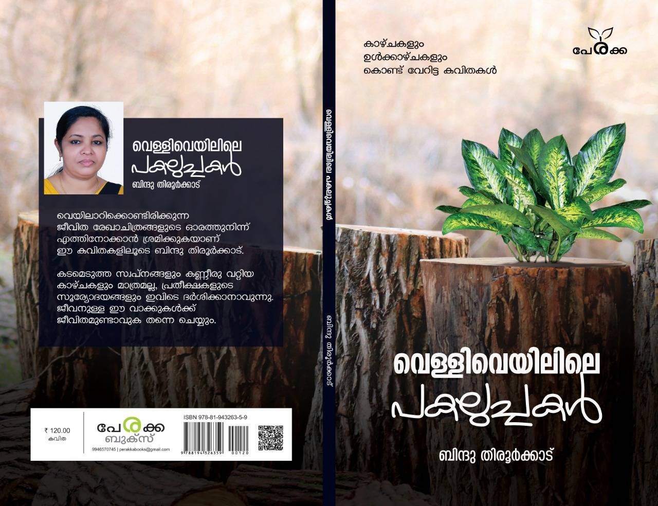 വെള്ളിവെയിലിലെ പകലുച്ചകൾ - ബിന്ദു തിരൂർക്കാട് - Velliveyilile Pakaluchakal - Bindu Thiroorkkad
