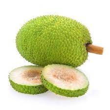 Kerala Special Fresh Natural Organic Kadachakka (കടച്ചക്ക) | Raw Breadfruit