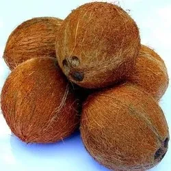 Kerala Natural Organic Fresh Raw Coconut (തേങ്ങ) - 1Kg, 2Kg, 5Kg | Nariyal | Thenga For Cooking And For Pooja (Brown, Small.