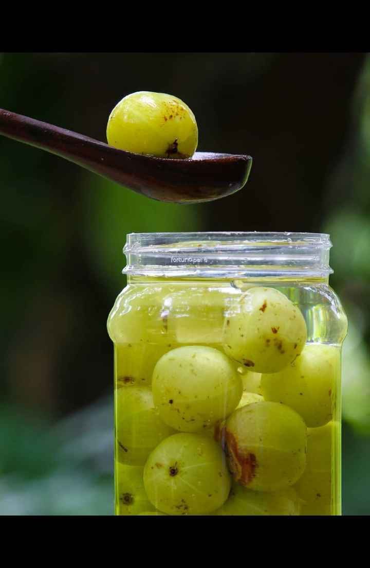 Kerala Special Homemade Gooseberry In Brine (നെല്ലിക്ക ഉപ്പിലിട്ടത്) - 500g | Salted Amla  Amla | Uppilittathu | Uppu Nellikka |