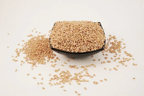Cappacale Raw Wheat Sharbati | No Mixture No Preservatives | High Fiber | Healthy Grain