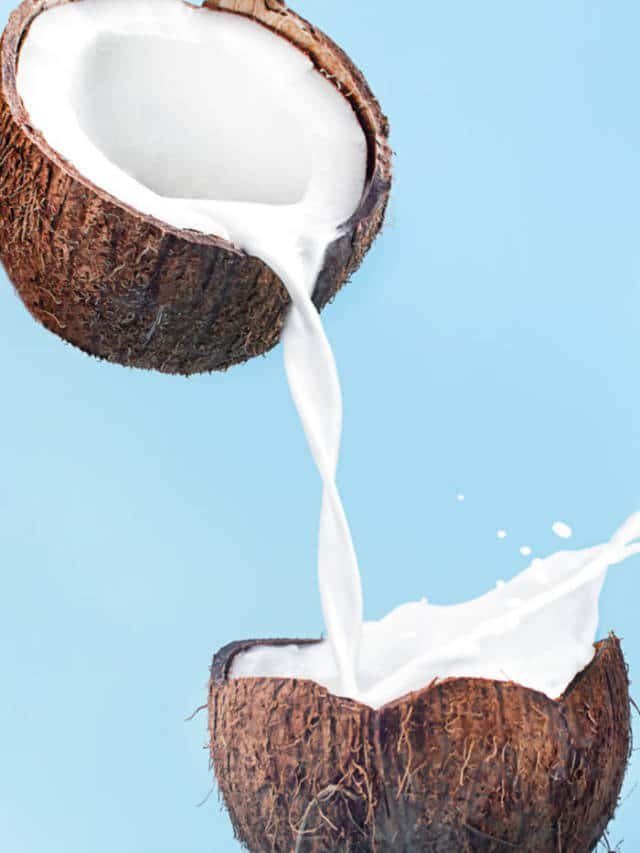 Greenz Fresh & Homemade Pure Coconut Milk (തേങ്ങാ പാൽ) - 250 ml | 100% Natural Organic Coconut Milk