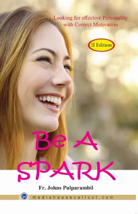 Be a Spark, Reflections