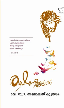 Rakshakanilekku (രക്ഷകനിലേക്ക് ),  Reflections